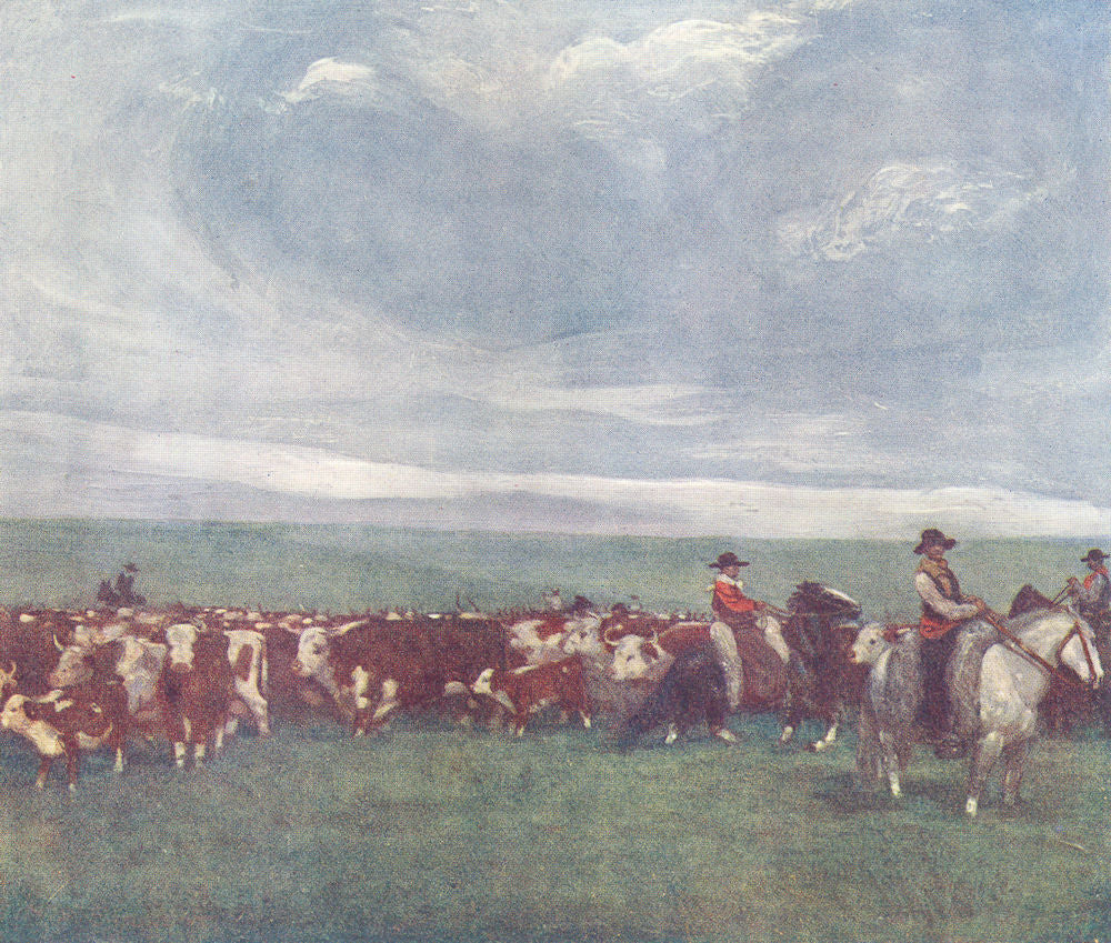 URUGUAY. Rounding up a Herd of Lemco cattle 1908 old antique print picture